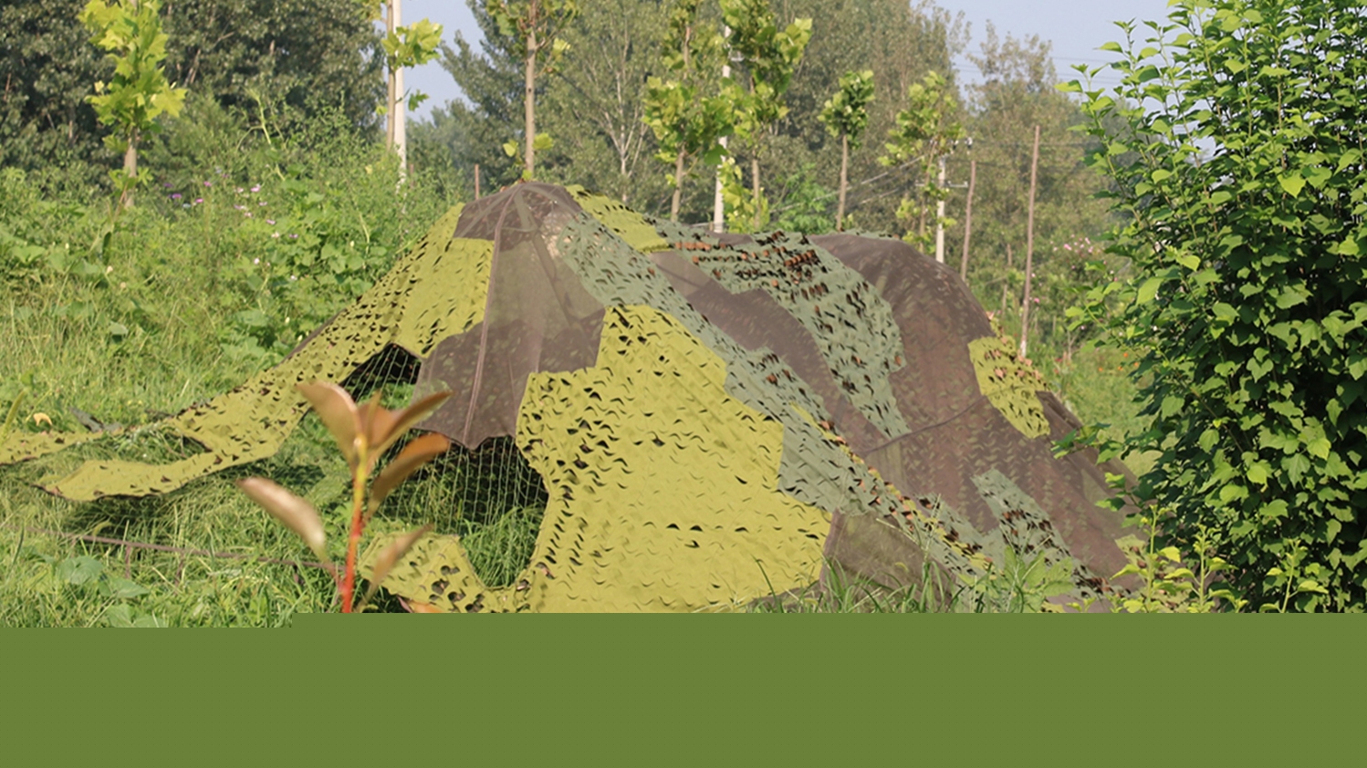 base64_image